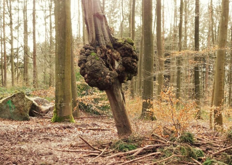 Le Chant De L Aisne Érezée Eksteriør bilde